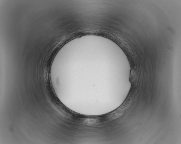 X0000111210168200907221158