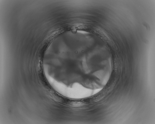 X0000111210169200907221158