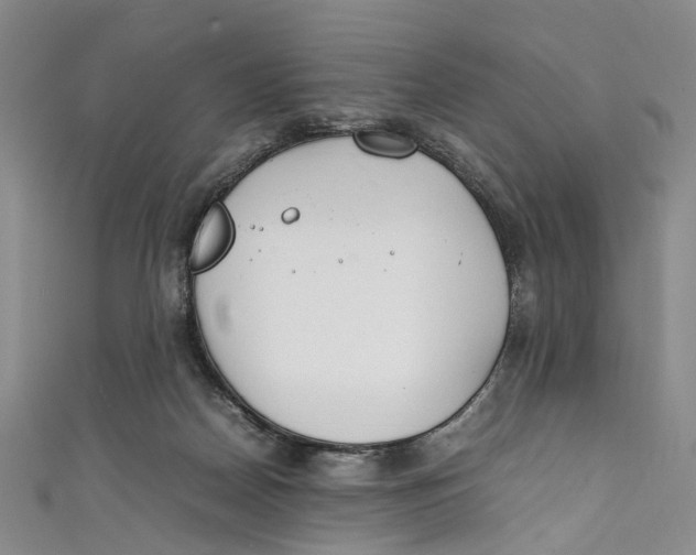 X0000111210170200907221158