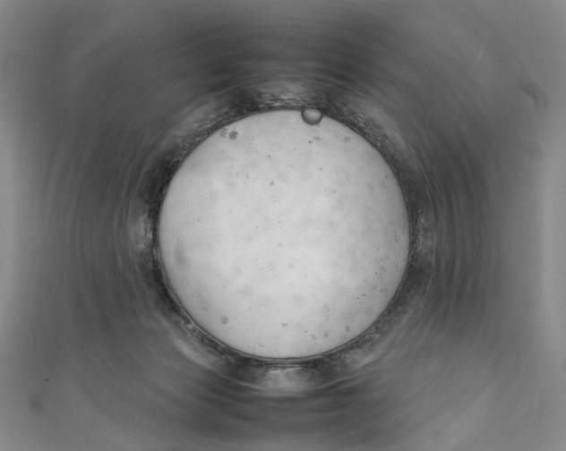 X0000111210173200907221158