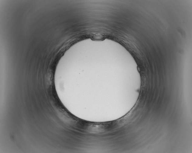 X0000111210174200907221158