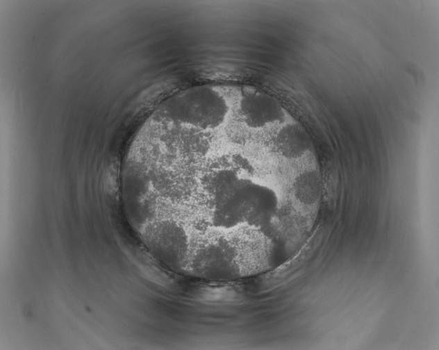 X0000111210175200907221158