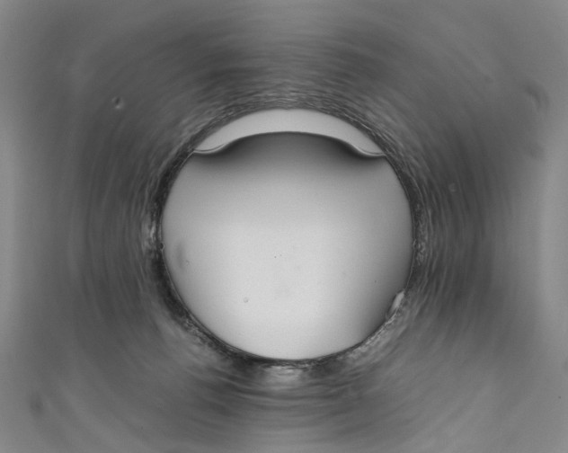 X0000111210176200907221158