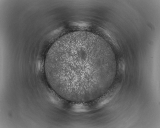 X0000111210177200907221158