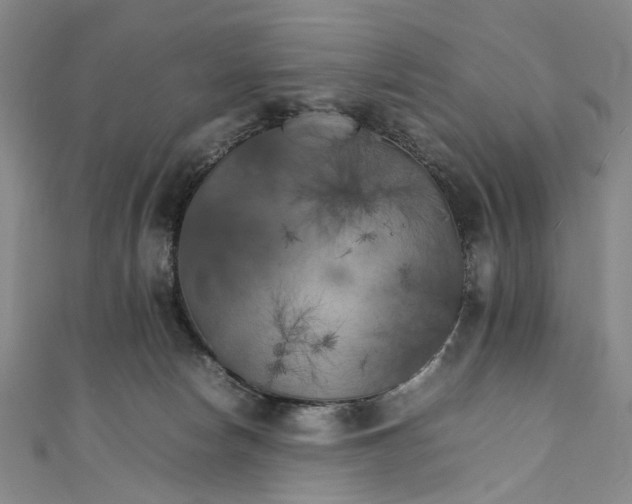 X0000111210178200907221158