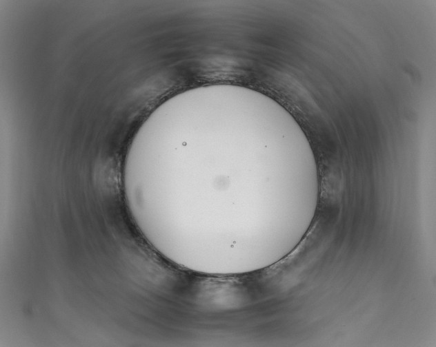 X0000111210179200907221158