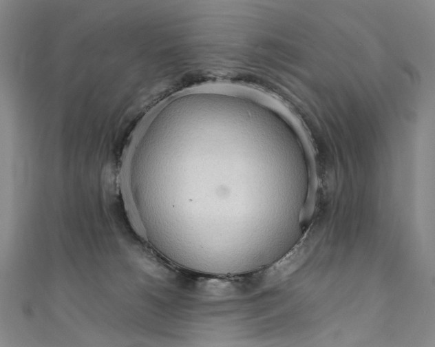 X0000111210180200907221158