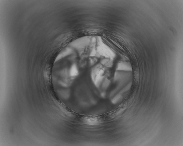 X0000111210181200907221158