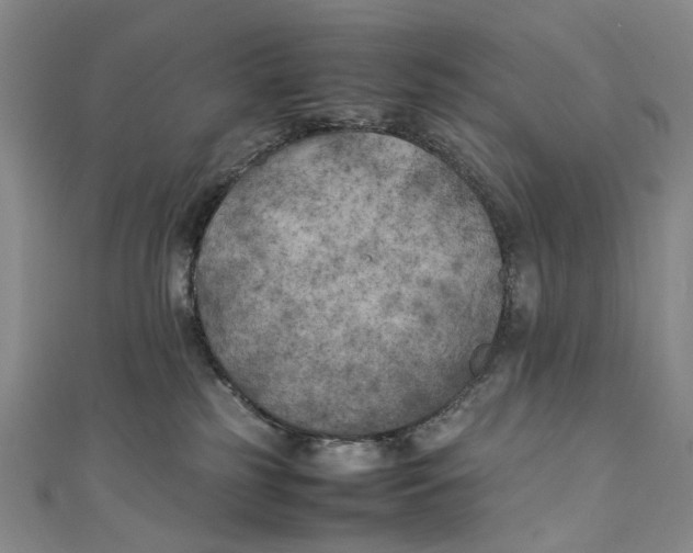 X0000111210185200907221158