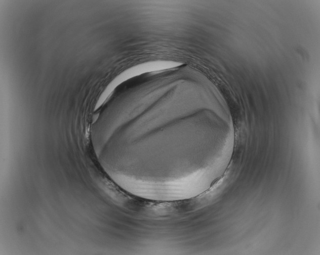 X0000111210186200907221158