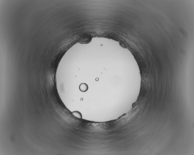 X0000111210188200907221158