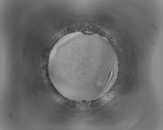 X0000111210192200907221158