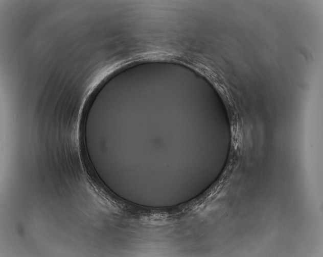 X0000111210196200907221158