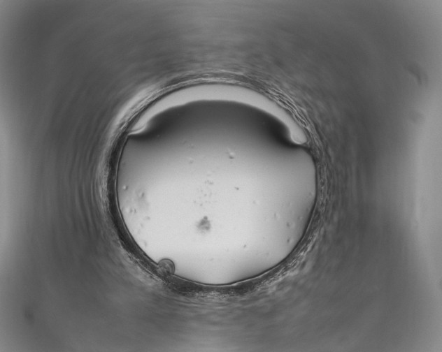 X0000111210197200907221158