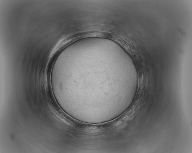 X0000111210198200907221158