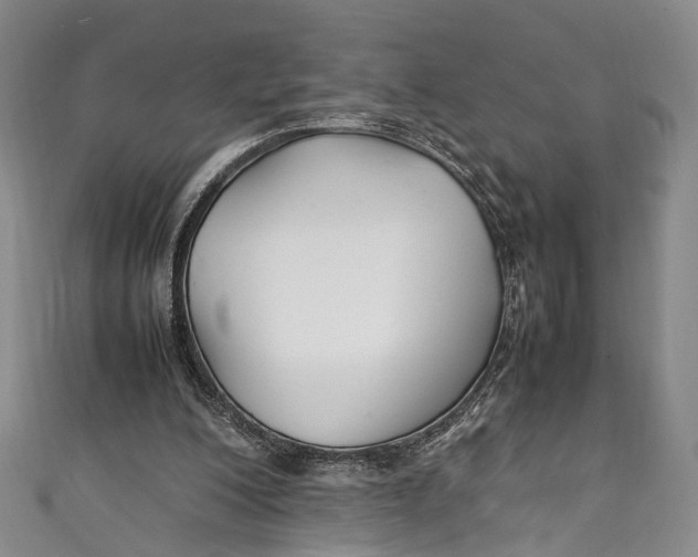 X0000111210200200907221158