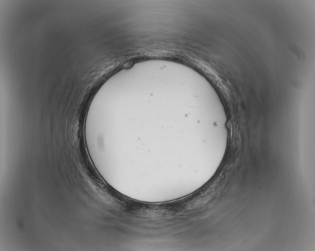 X0000111210201200907221158