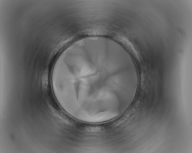 X0000111210202200907221158