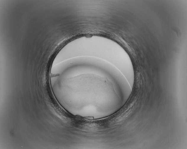 X0000111210203200907221158