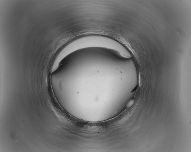 X0000111210205200907221158