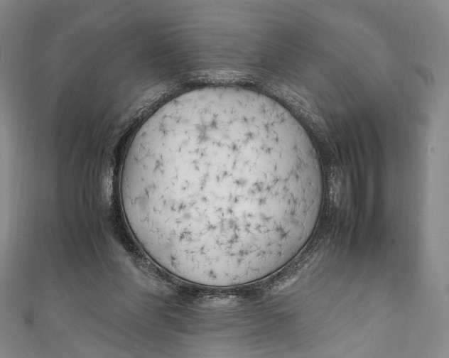 X0000111210206200907221158