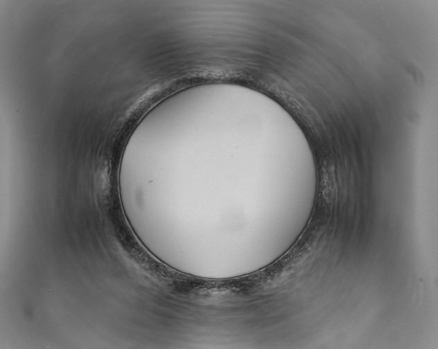 X0000111210208200907221157