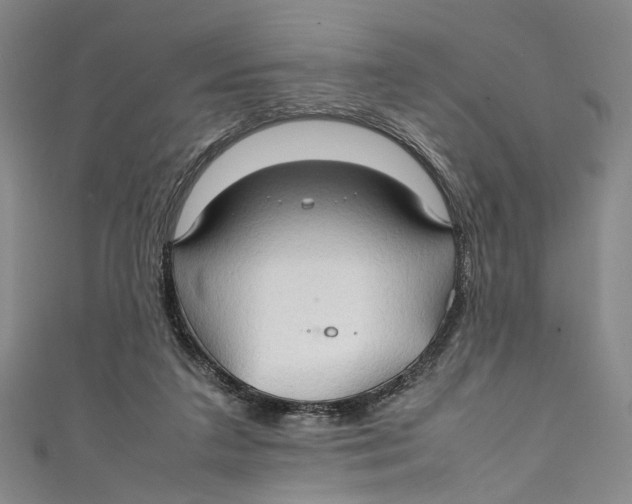 X0000111210211200907221157