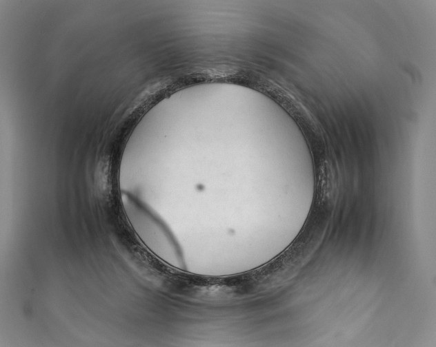 X0000111210212200907221157