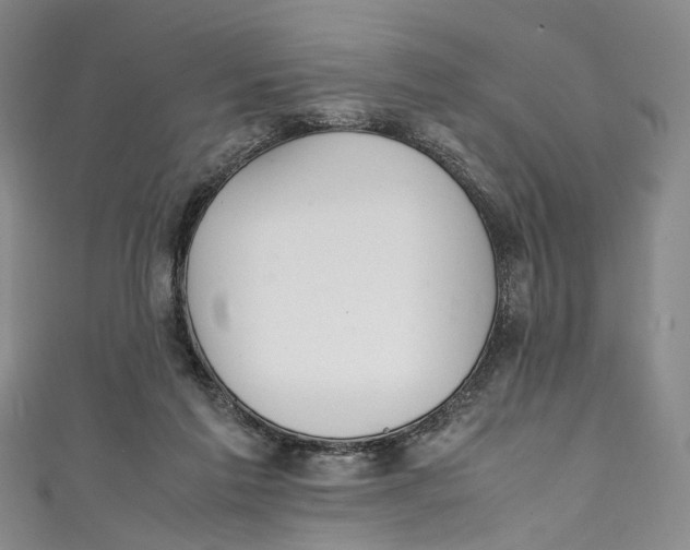 X0000111210213200907221157