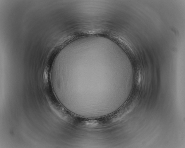 X0000111210214200907221157