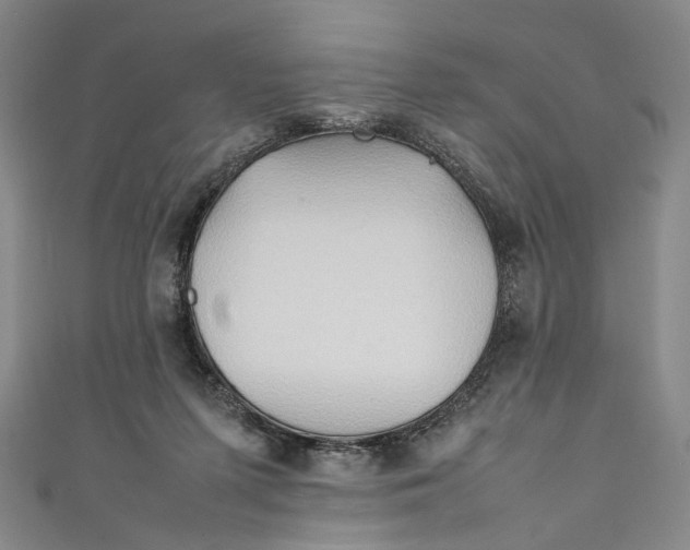 X0000111210215200907221157