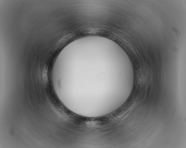 X0000111210216200907221157