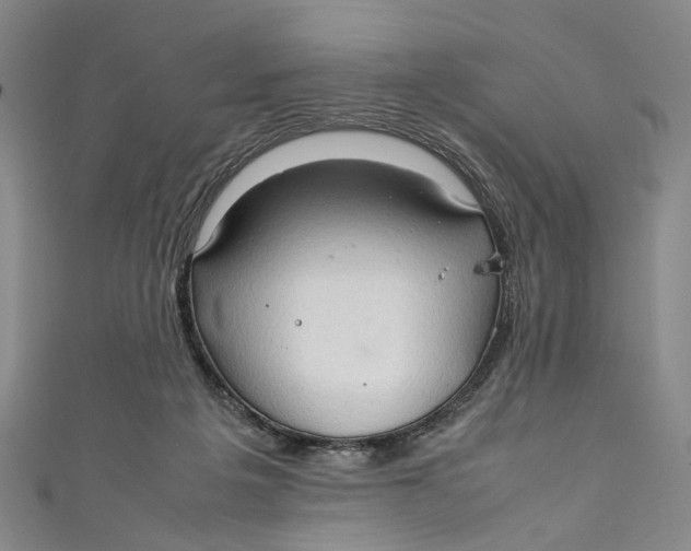 X0000111210217200907221157