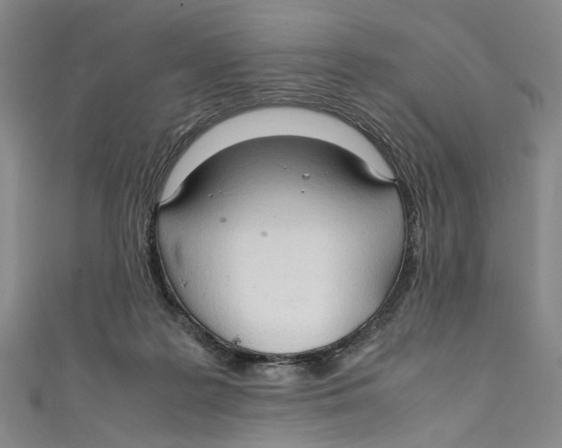 X0000111210219200907221157