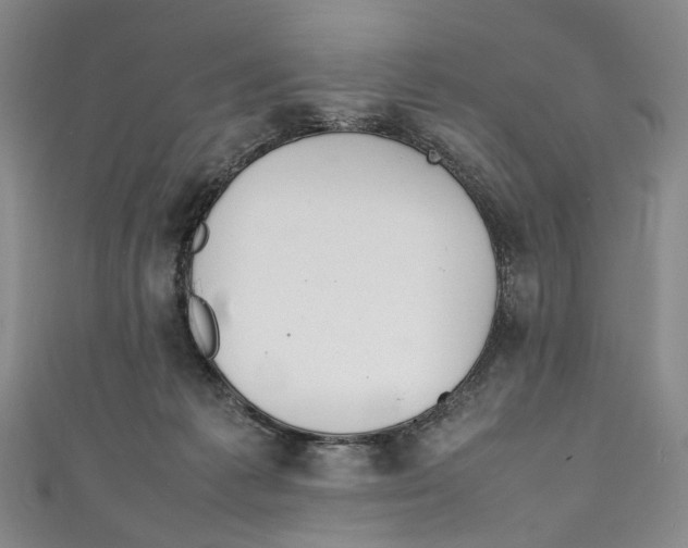 X0000111210221200907221157