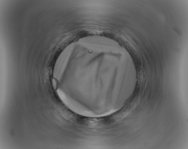 X0000111210229200907221157