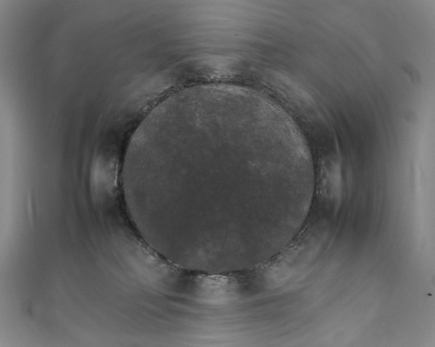 X0000111210230200907221157