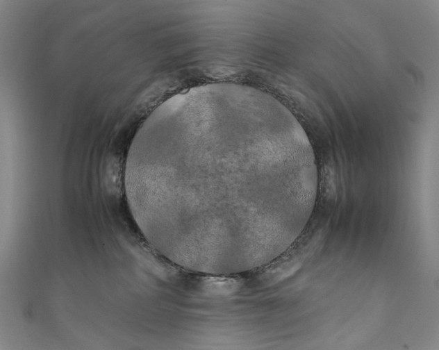 X0000111210234200907221157