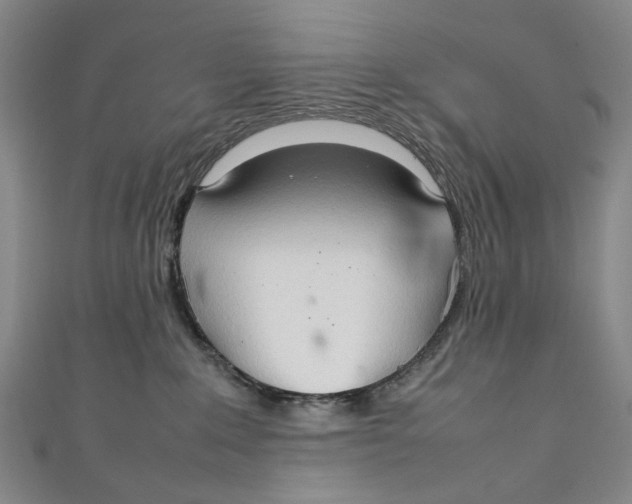 X0000111210235200907221157