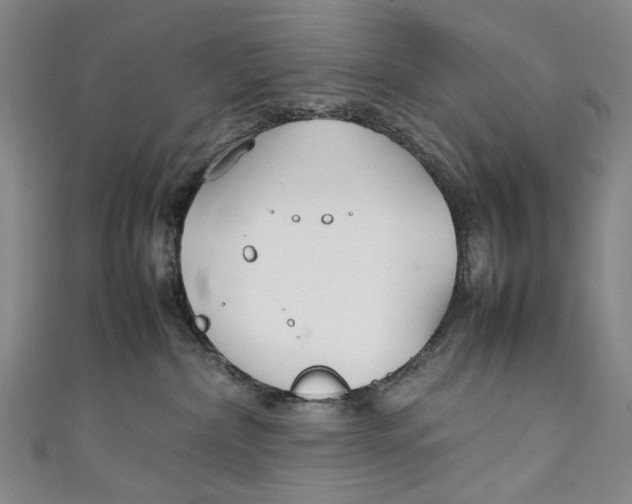 X0000111210236200907221157