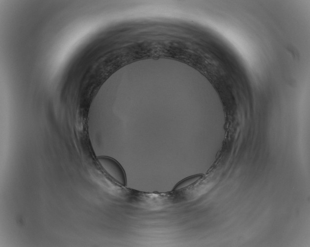 X0000111210239200907221157