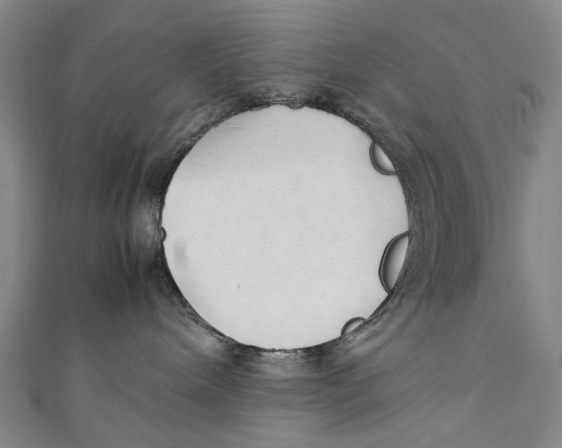 X0000111210240200907221157