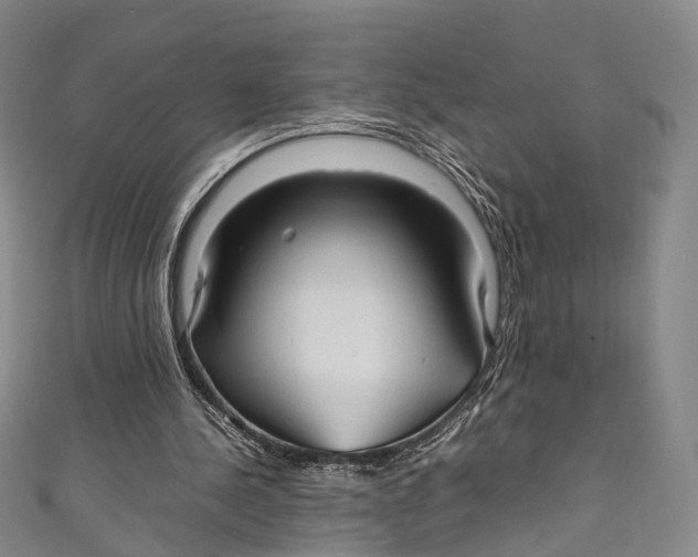 X0000111210244200907221157