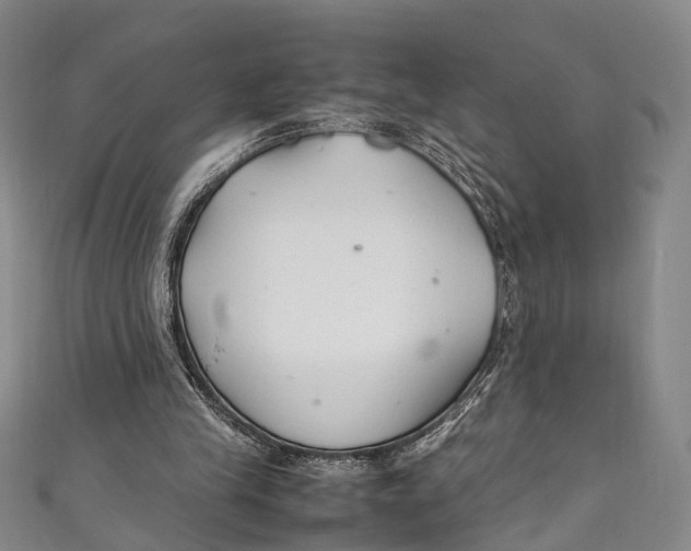 X0000111210245200907221157