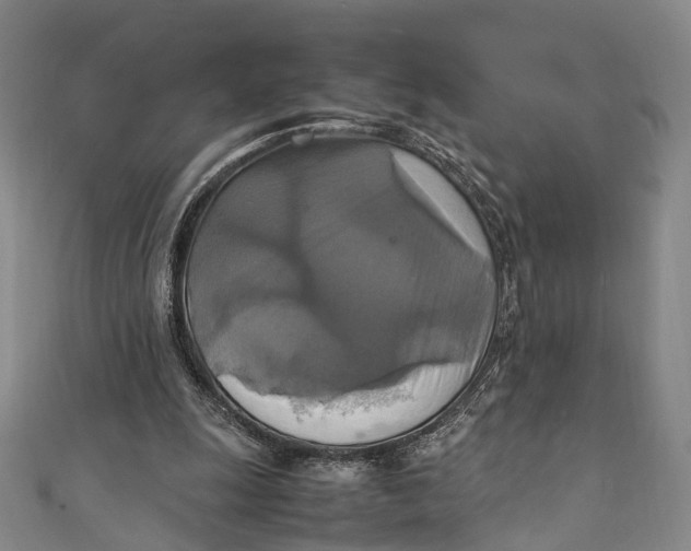 X0000111210247200907221157