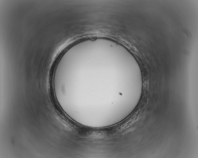 X0000111210248200907221157