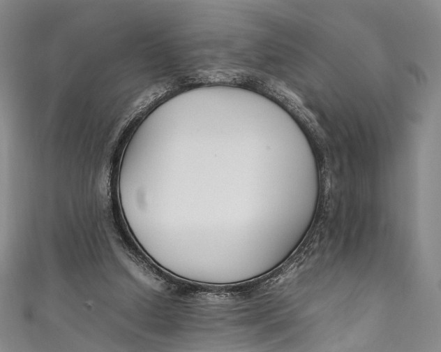 X0000111210250200907221157