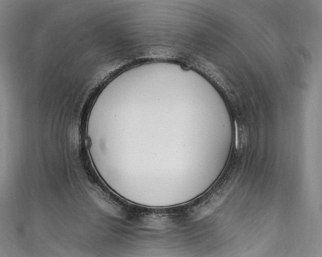 X0000111210252200907221157