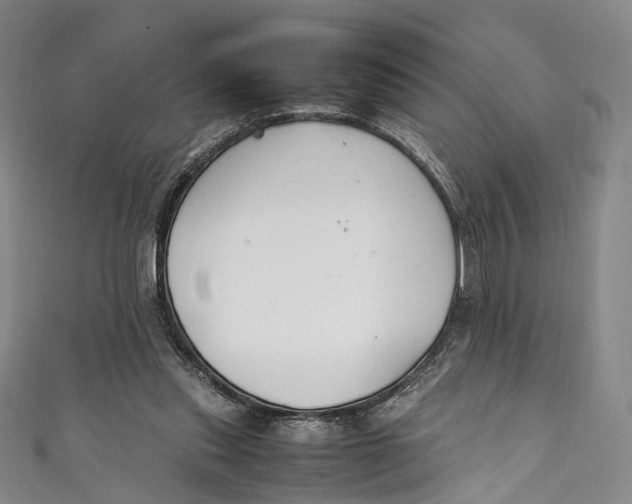 X0000111210253200907221157