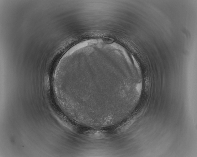 X0000111210254200907221157